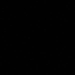 Meet your Posher, Shontasia